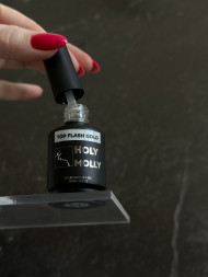 HOLY MOLLY   Топ без л/с   Top   Flash Gold   15мл